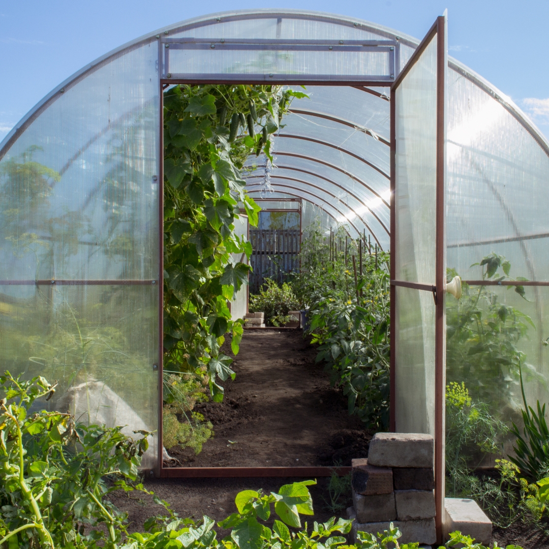 Organic Gardening Special Issue – Mother Earth News Greenhouse Readiness Audit